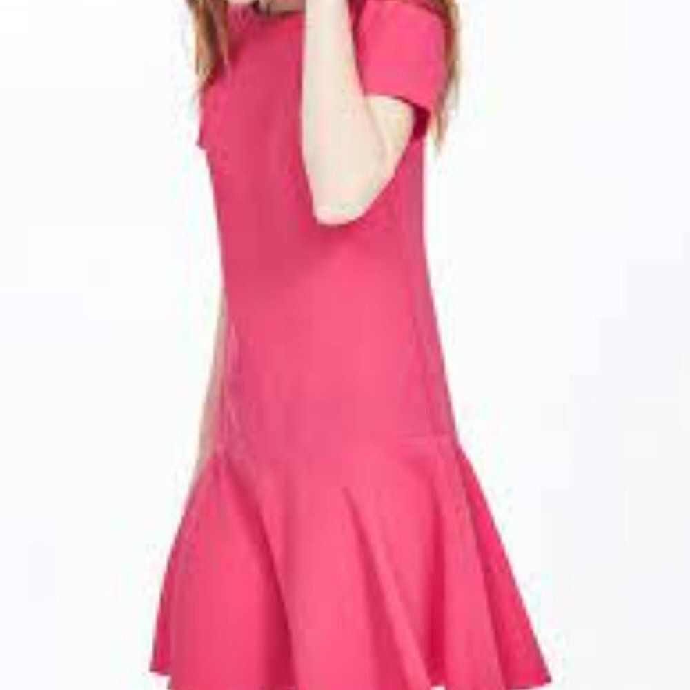 Banana Republic Flounce Dress‎ Kismet Pink Size 4P - Picture 2 of 14